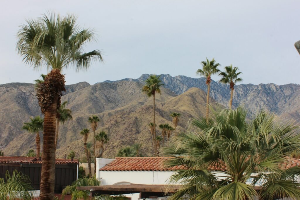 Palm Springs: arquitectura, diseño y casas emblemáticas en el corazón del desierto